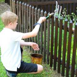 Projektzeitung ist jetzt online! Projektzeitung ist jetzt online!