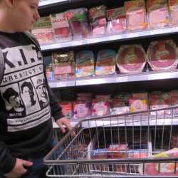 Tag der Nachhaltigkeit an den Fachschulen Tag der Nachhaltigkeit an den Fachschulen