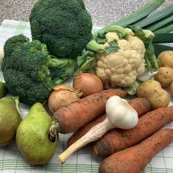 Lebensmittelverschwendung ein Schwerpunkt beim Tag der Schulverpflegung Lebensmittelverschwendung ein Schwerpunkt beim Tag der Schulverpflegung