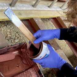 Segel-AG hofft auf gutes Wetter Segel-AG hofft auf gutes Wetter