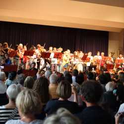 Sommerserenade mit Überraschung Sommerserenade mit Überraschung