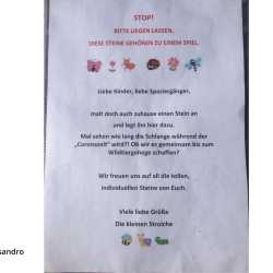 Wahlfach Streetart beschäftigt sich mit Weisheiten Wahlfach Streetart beschäftigt sich mit Weisheiten