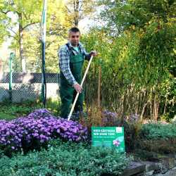 Gärtnern ohne Torf schützt die Umwelt : Zinzendorfschulen bekommen NABU-Plakette