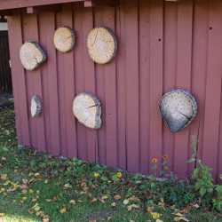 Gärtnern ohne Torf schützt die Umwelt : Zinzendorfschulen bekommen NABU-Plakette Gärtnern ohne Torf schützt die Umwelt : Zinzendorfschulen bekommen NABU-Plakette