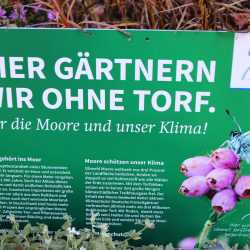 Gärtnern ohne Torf schützt die Umwelt : Zinzendorfschulen bekommen NABU-Plakette