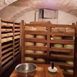 Landwirtschaft hautnah: Sechstklässler besuchen Untermühlbachhof Landwirtschaft hautnah: Sechstklässler besuchen Untermühlbachhof