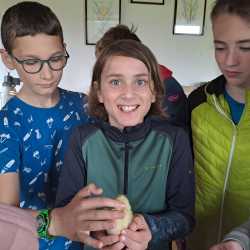 Landwirtschaft hautnah: Sechstklässler besuchen Untermühlbachhof Landwirtschaft hautnah: Sechstklässler besuchen Untermühlbachhof