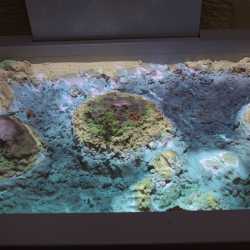 Eltern von Grundschüler*innen strömen zur Viertklässlerparty Eltern von Grundschüler*innen strömen zur Viertklässlerparty