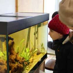 Viertklässlerparty gewährt spannende Einblicke in die Zinzendorfschulen Viertklässlerparty gewährt spannende Einblicke in die Zinzendorfschulen