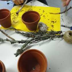 Festschmaus für heimische Vögel Festschmaus für heimische Vögel