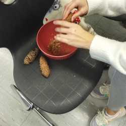 Festschmaus für heimische Vögel Festschmaus für heimische Vögel