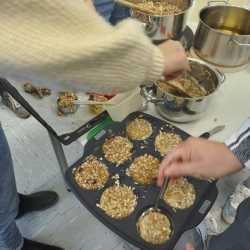 Festschmaus für heimische Vögel Festschmaus für heimische Vögel