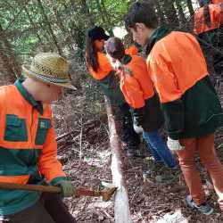 Fichten fällen und Kompass lesen: 8R im Waldlandheim Fichten fällen und Kompass lesen: 8R im Waldlandheim