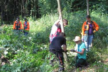 Arbeitseinsatz im Waldschulheim Arbeitseinsatz im Waldschulheim