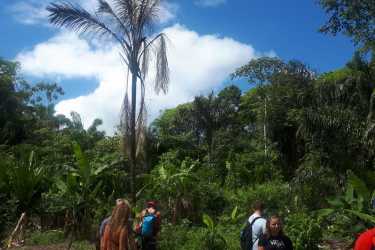 Ein Mondfisch feiert Weihnachten - Hanna ist in Südamerika Ein Mondfisch feiert Weihnachten - Hanna ist in Südamerika
