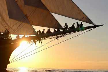 Neues von Hanna  Neues von Hanna