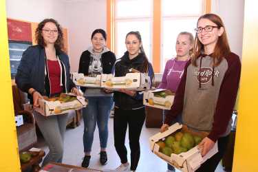 Mangoverkauf erbringt fast 3000 Euro für Burkina Faso Mangoverkauf erbringt fast 3000 Euro für Burkina Faso