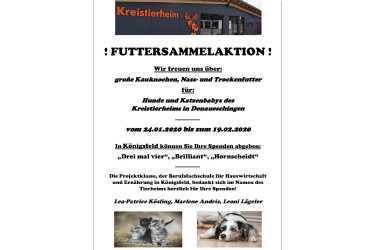 Projektklasse sammelt für das Kreistierheim Projektklasse sammelt für das Kreistierheim