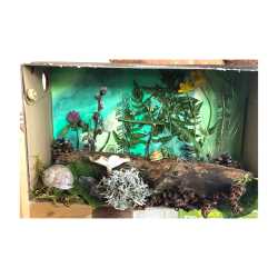 Frühling im Schuhkarton Frühling im Schuhkarton