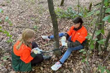 8R pflegt den Forst im Waldschulheim 8R pflegt den Forst im Waldschulheim