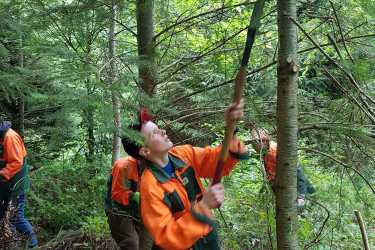 Fichten fällen und Kompass lesen: 8R im Waldlandheim Fichten fällen und Kompass lesen: 8R im Waldlandheim