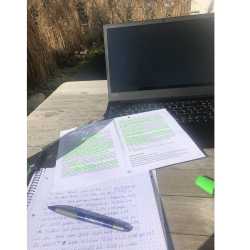 Katharina (10b) bloggt aus dem Home-Office Katharina (10b) bloggt aus dem Home-Office