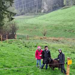 Landwirtschaft hautnah: Sechstklässler besuchen Untermühlbachhof