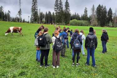 Landwirtschaft hautnah: Sechstklässler besuchen Untermühlbachhof Landwirtschaft hautnah: Sechstklässler besuchen Untermühlbachhof