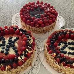 Mit der Mittleren Reife in der Tasche sind 37 Absolventen der Zinzendorfschulen „nicht zu halten“ Mit der Mittleren Reife in der Tasche sind 37 Absolventen der Zinzendorfschulen „nicht zu halten“