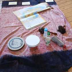 Museumsbesuch mit doppeltem Nutzen Museumsbesuch mit doppeltem Nutzen