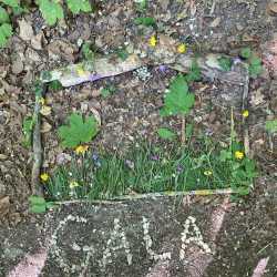 Natur, Geschichte, Kunst und jede Menge Spaß im Landschulheim Natur, Geschichte, Kunst und jede Menge Spaß im Landschulheim