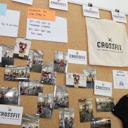 Projekttage bieten bunte Vielfalt beim „Markt der Möglichkeiten“ Projekttage bieten bunte Vielfalt beim „Markt der Möglichkeiten“