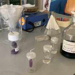 Projekttage bieten bunte Vielfalt beim „Markt der Möglichkeiten“ Projekttage bieten bunte Vielfalt beim „Markt der Möglichkeiten“