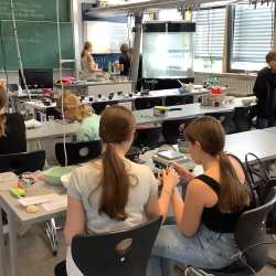 Projekttage bieten bunte Vielfalt beim „Markt der Möglichkeiten“ Projekttage bieten bunte Vielfalt beim „Markt der Möglichkeiten“