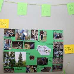 Projekttage bieten bunte Vielfalt beim „Markt der Möglichkeiten“ Projekttage bieten bunte Vielfalt beim „Markt der Möglichkeiten“