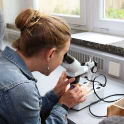 Projekttage münden in kunterbuntem Schulfest Projekttage münden in kunterbuntem Schulfest