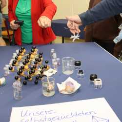 Projekttage münden in kunterbuntem Schulfest Projekttage münden in kunterbuntem Schulfest