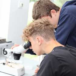 Projekttage münden in kunterbuntem Schulfest Projekttage münden in kunterbuntem Schulfest