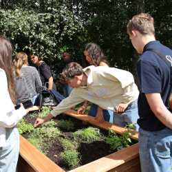 Projekttage münden in kunterbuntem Schulfest Projekttage münden in kunterbuntem Schulfest