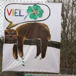 Prüfungsmarathon hat begonnen Prüfungsmarathon hat begonnen