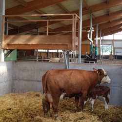 Radtour ins Blaue bringt Garfield in den Stall Radtour ins Blaue bringt Garfield in den Stall