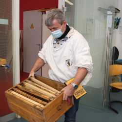 Realschüler lernen bei fachübergreifendem Projekt alles über Wachs Realschüler lernen bei fachübergreifendem Projekt alles über Wachs