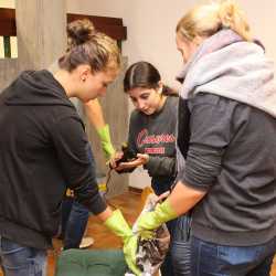 Rohstoffe gehen uns alle an Rohstoffe gehen uns alle an