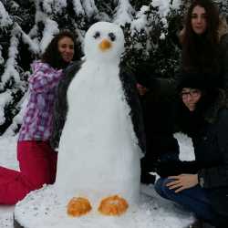 Schneeskulpturen im EDH-Garten Schneeskulpturen im EDH-Garten