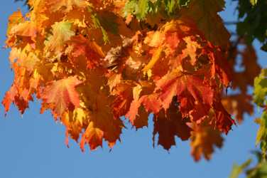 Schöne Ferien! Schöne Ferien!