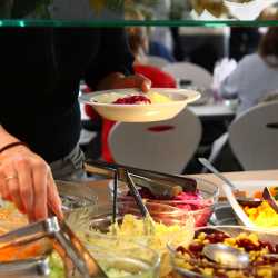 Schüler entdecken ihre Vorliebe für Kürbissuppe Schüler entdecken ihre Vorliebe für Kürbissuppe