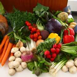 Schüler entdecken ihre Vorliebe für Kürbissuppe Schüler entdecken ihre Vorliebe für Kürbissuppe