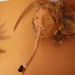 Schulfest der Zinzendorfschulen mit Blick in die Zukunft: Neue Sporthalle vorgestellt Schulfest der Zinzendorfschulen mit Blick in die Zukunft: Neue Sporthalle vorgestellt