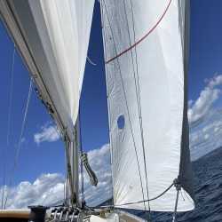 Segel-AG hofft auf gutes Wetter Segel-AG hofft auf gutes Wetter