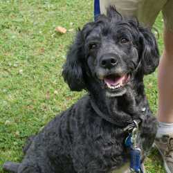 Sommer, Spiel und schöne Erinnerungen – Gartenfest des Internats Sommer, Spiel und schöne Erinnerungen – Gartenfest des Internats